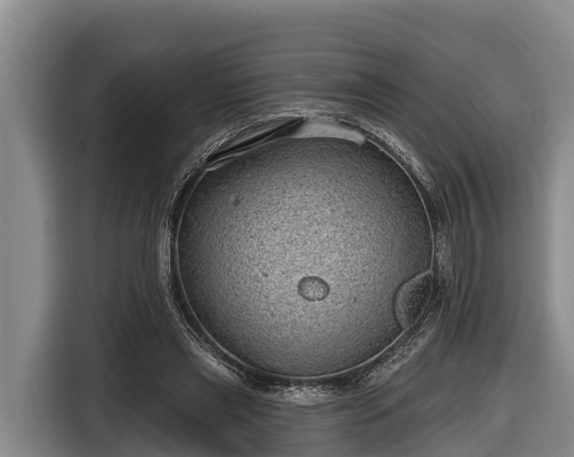 X0000116810445200912241224