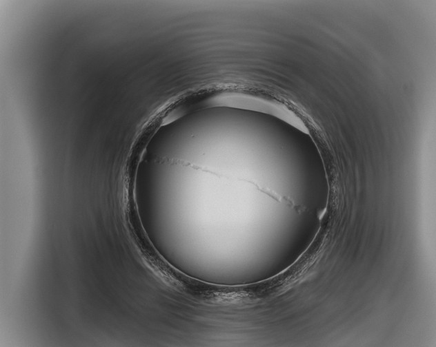 X0000116810446200912241224