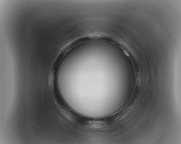 X0000116810448200912241224