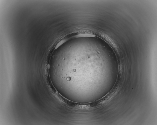 X0000116810449200912241224