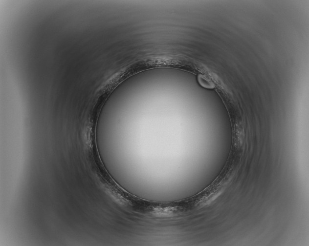 X0000116810450200912241224