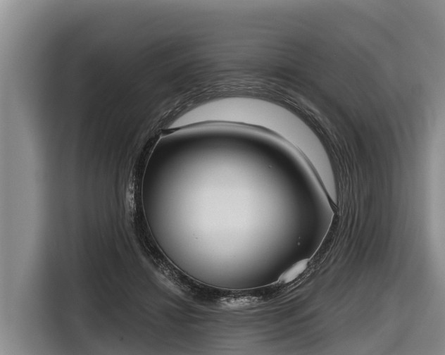 X0000116810452200912241224