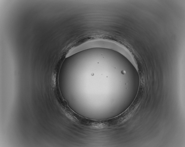 X0000116810454200912241224