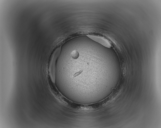 X0000116810455200912241224