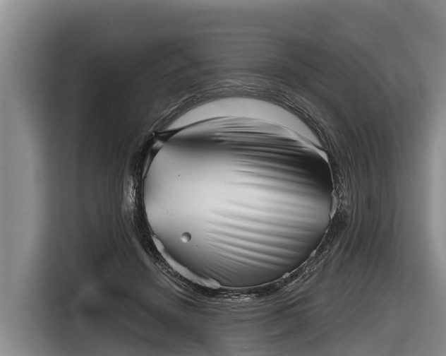 X0000116810456200912241224