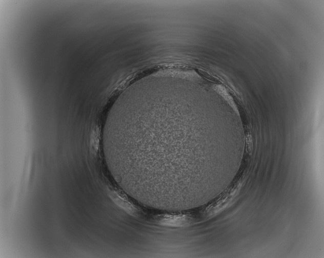 X0000116810458200912241224