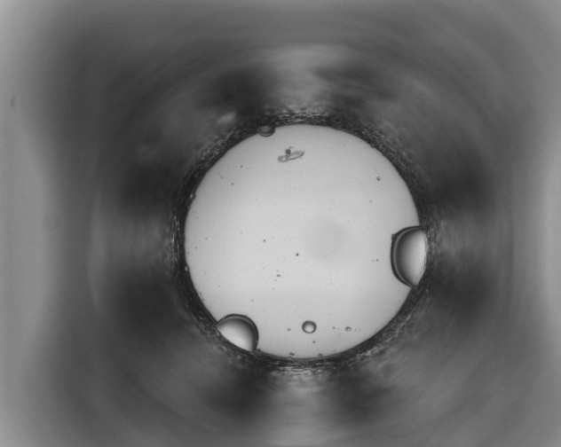 X0000116810464200912241224