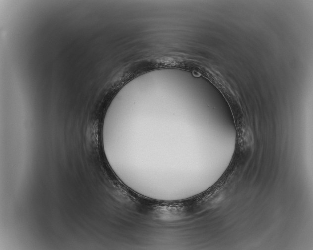 X0000116810466200912241224