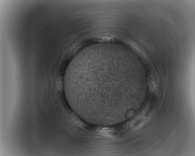 X0000116810467200912241224