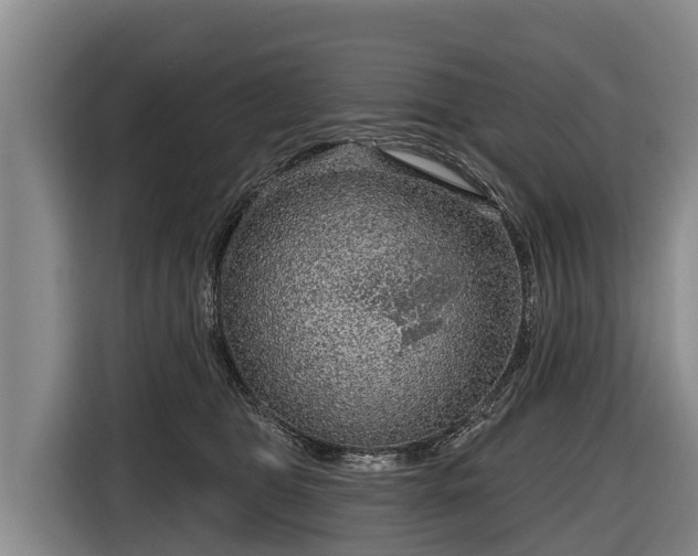 X0000116810469200912241224