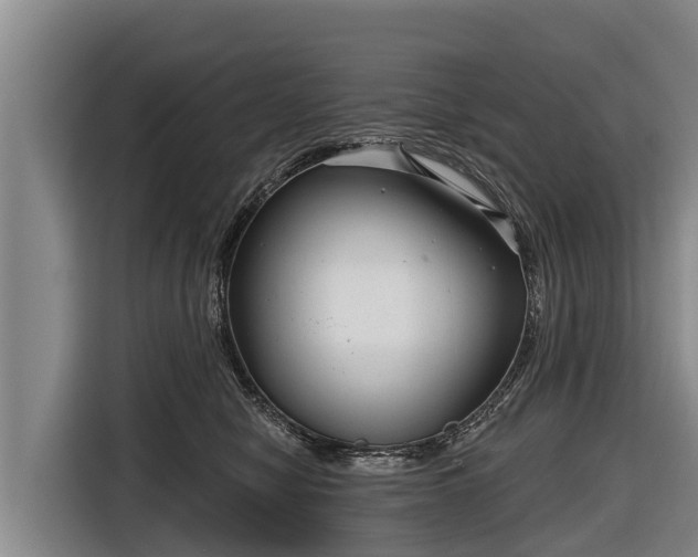 X0000116810470200912241224