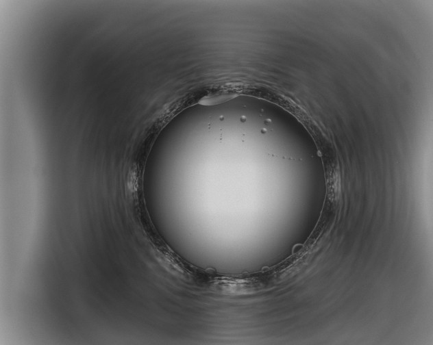 X0000116810472200912241224