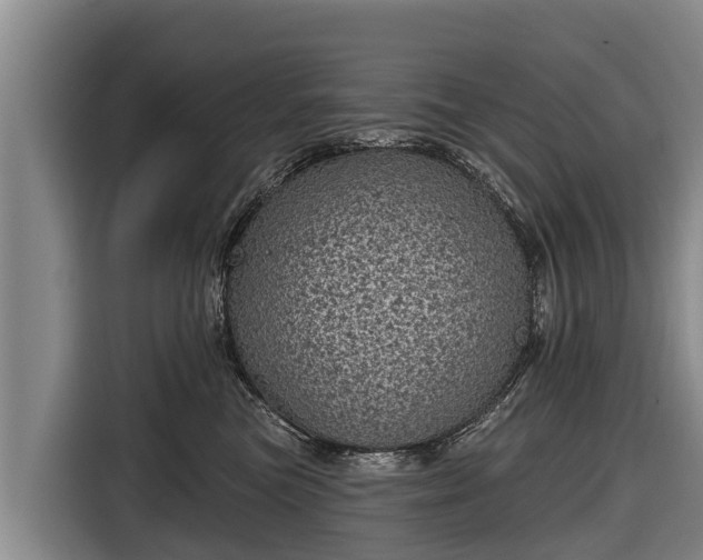 X0000116810473200912241224