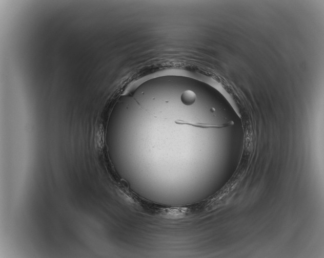 X0000116810474200912241224