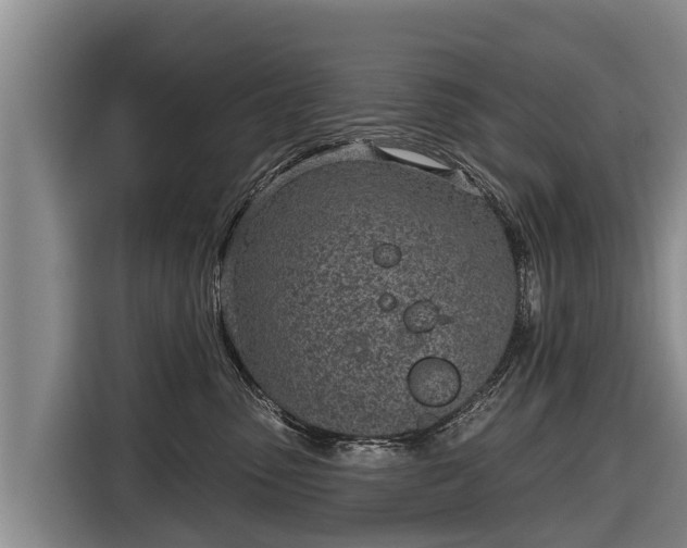 X0000116810475200912241224