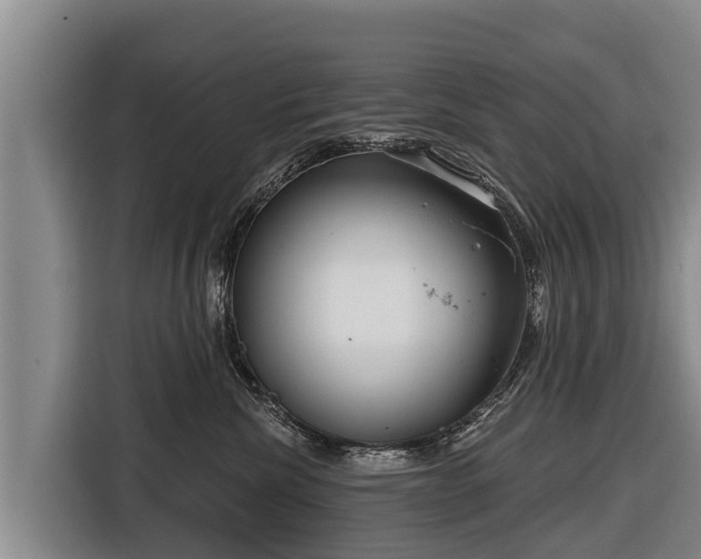 X0000116810476200912241224