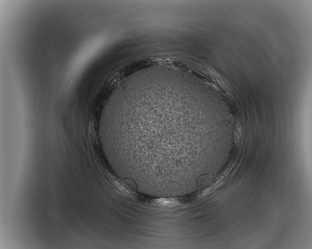 X0000116810477200912241224