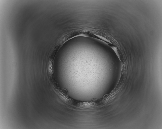 X0000116810479200912241224