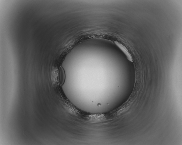 X0000116810480200912241224