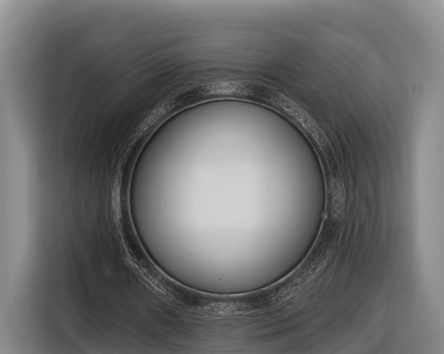 X0000116810482200912241224