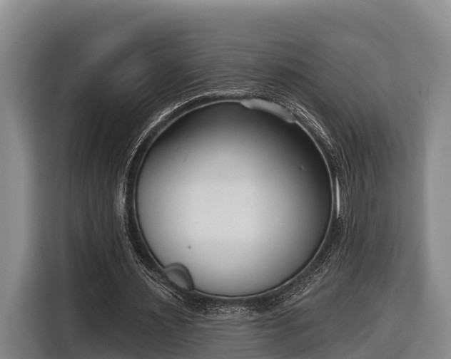 X0000116810483200912241224