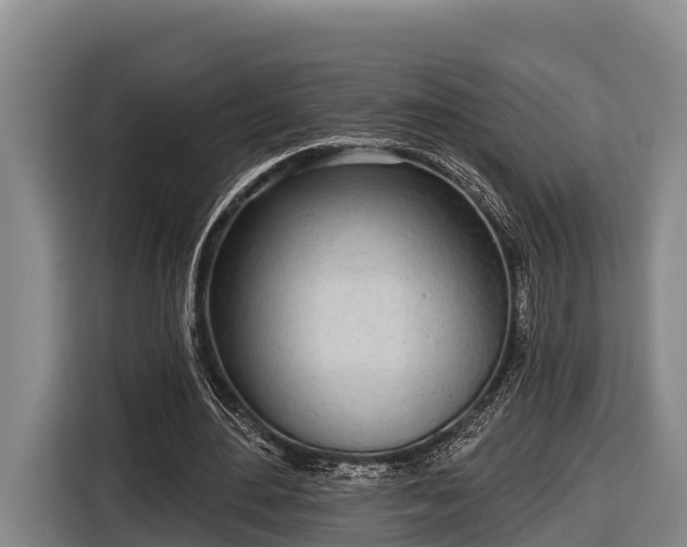 X0000116810484200912241224