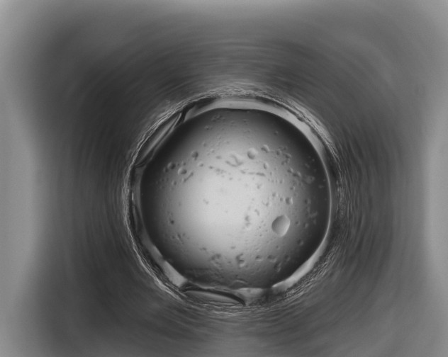 X0000116810485200912241224