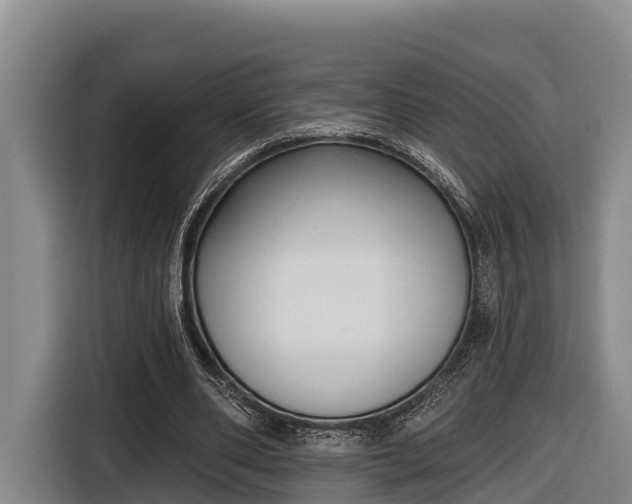 X0000116810486200912241224