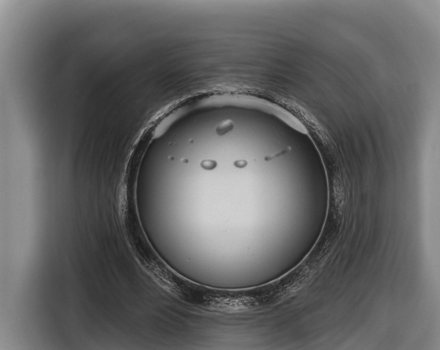 X0000116810488200912241224