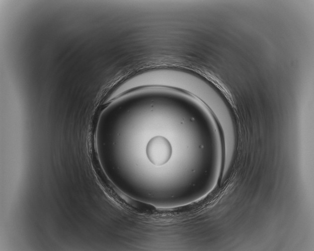 X0000116810489200912241224