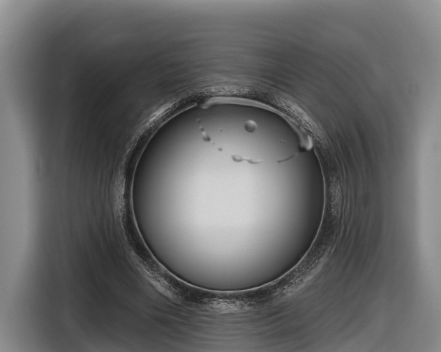 X0000116810490200912241224