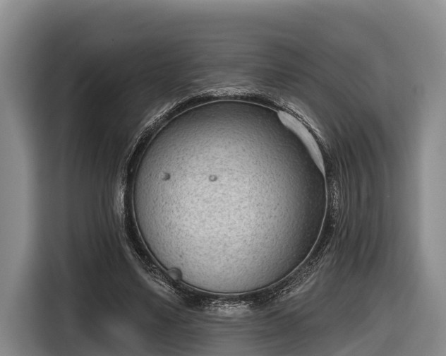 X0000116810491200912241224