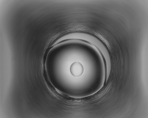 X0000116810493200912241224