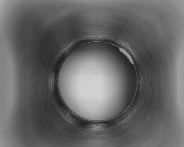 X0000116810495200912241224