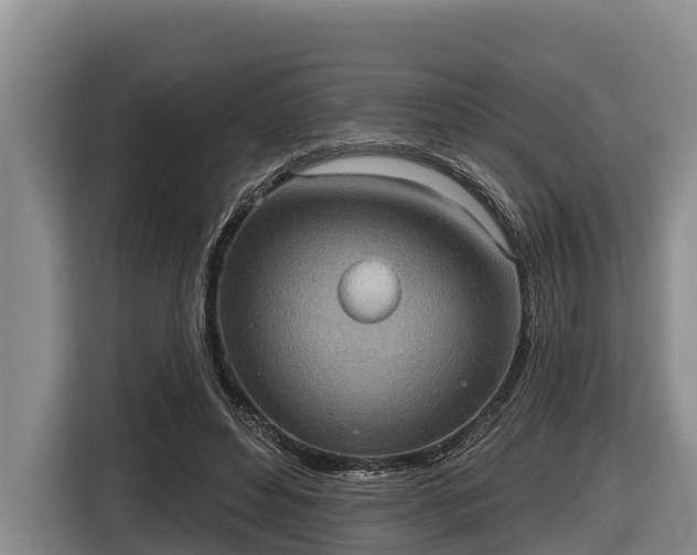 X0000116810496200912241224