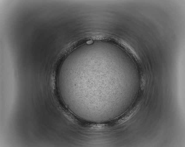 X0000116810497200912241224