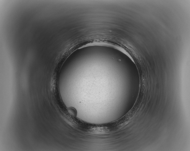 X0000116810499200912241224