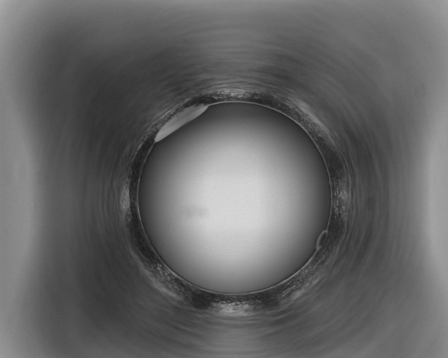 X0000116810500200912241224