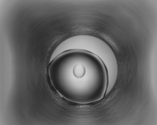 X0000116810501200912241224