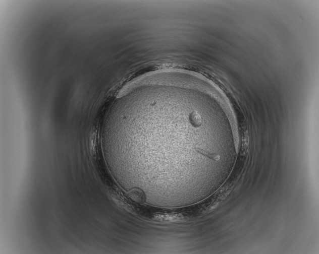 X0000116810503200912241224