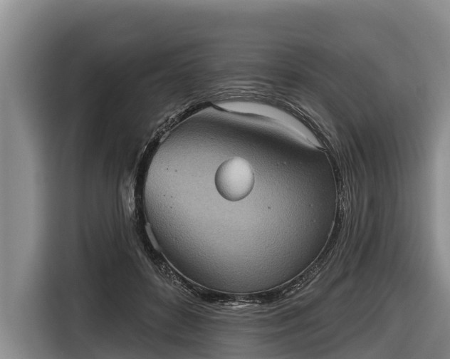 X0000116810504200912241224