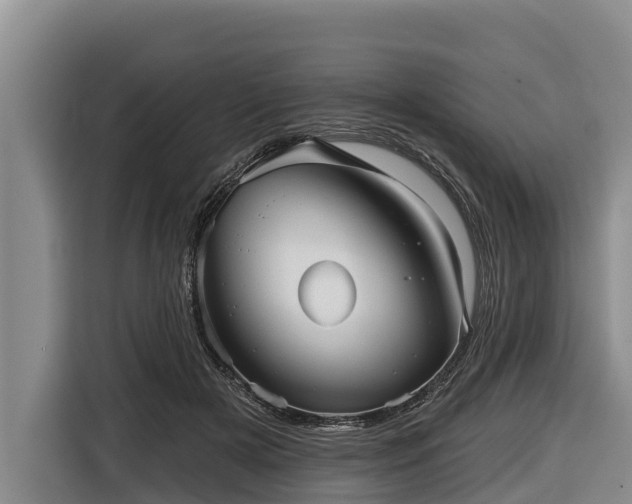 X0000116810505200912241224