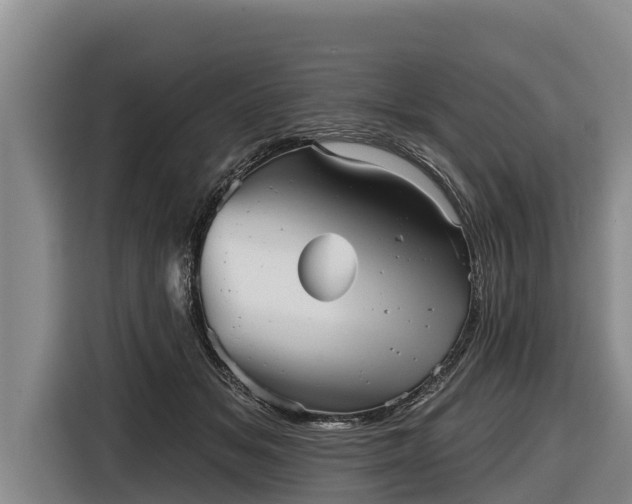 X0000116810509200912241223