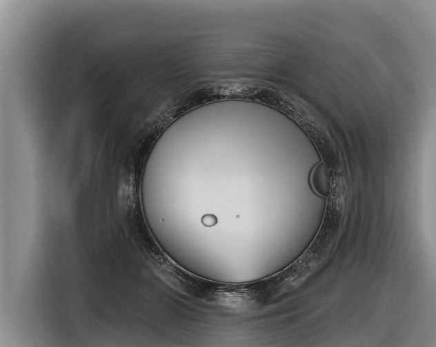 X0000116810510200912241223