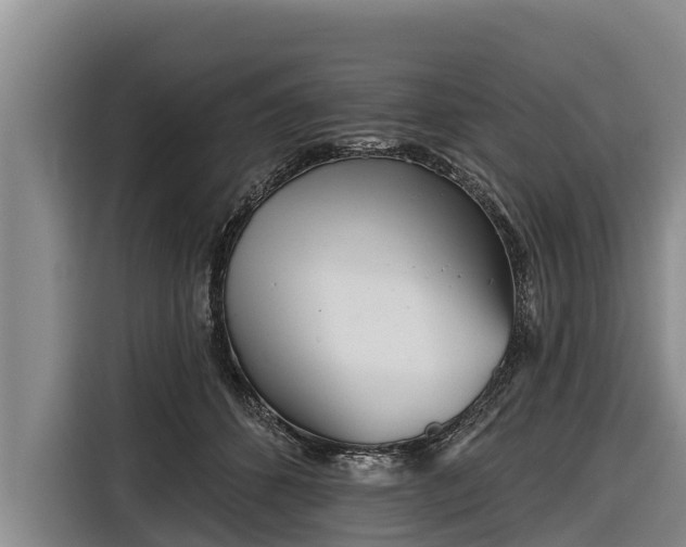 X0000116810512200912241223