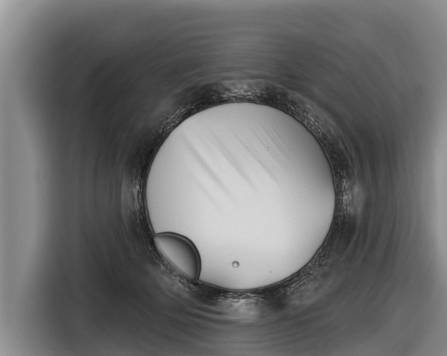 X0000116810514200912241223