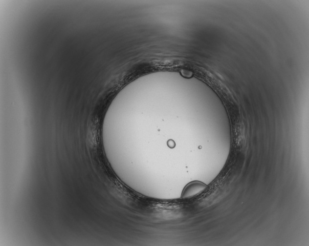 X0000116810515200912241223