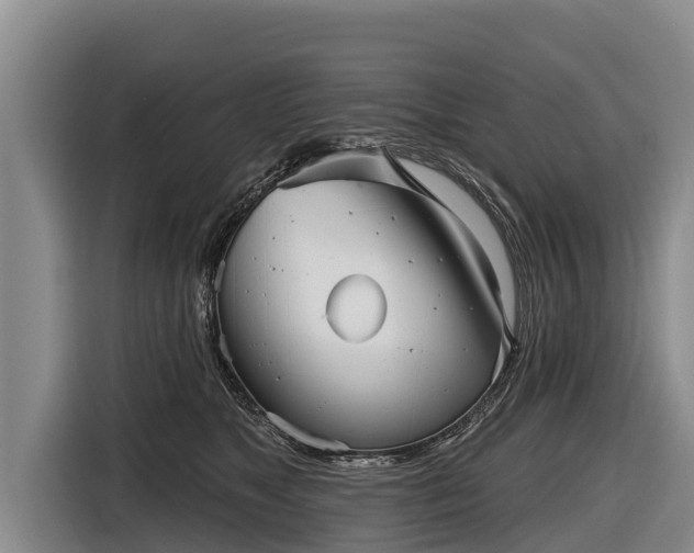 X0000116810517200912241223