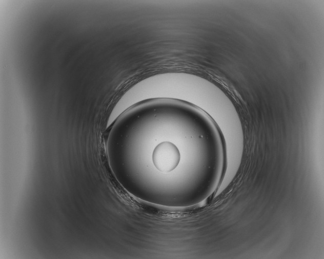 X0000116810521200912241223