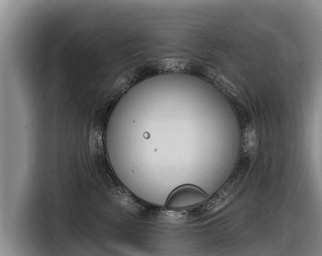 X0000116810522200912241223